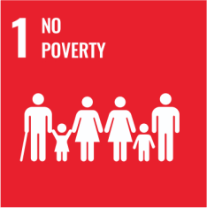 SDG Poverty